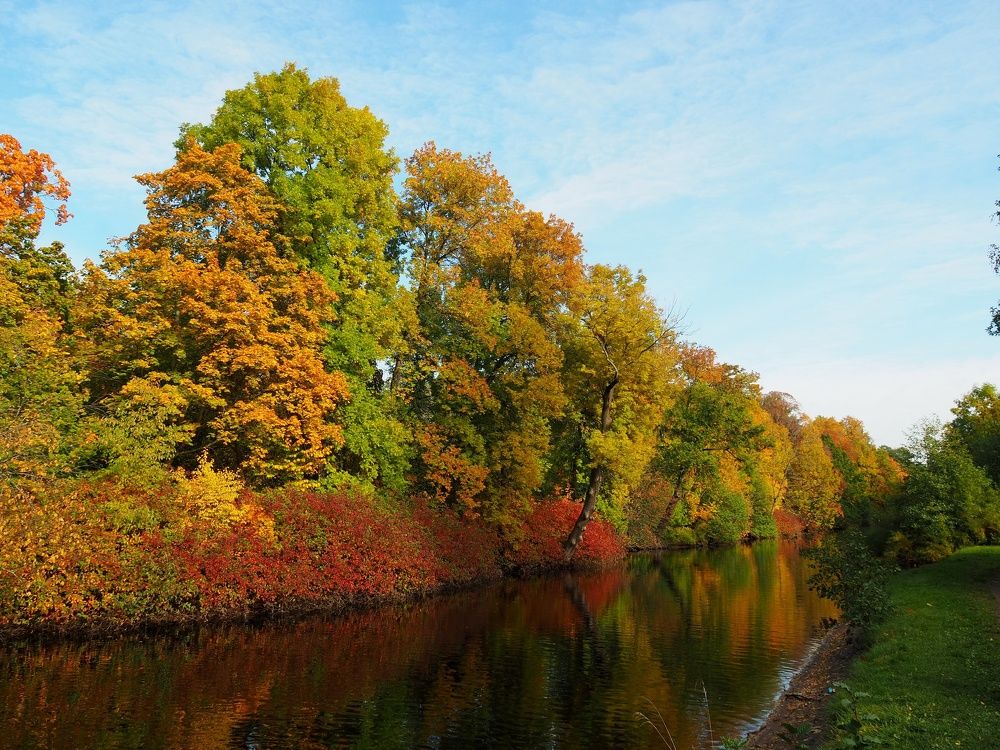 Photograph by Наталия Романова