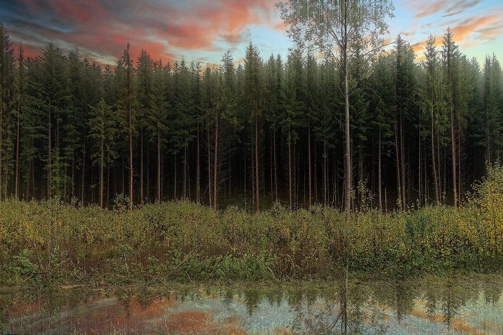 Photograph by Victor