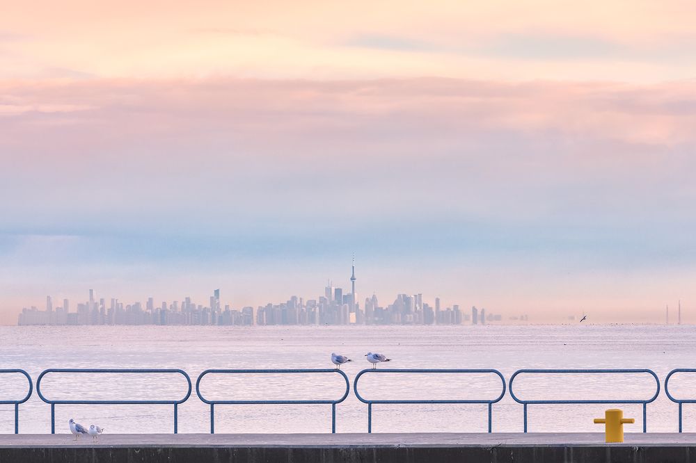 Photograph by Zhenhuan Zhou