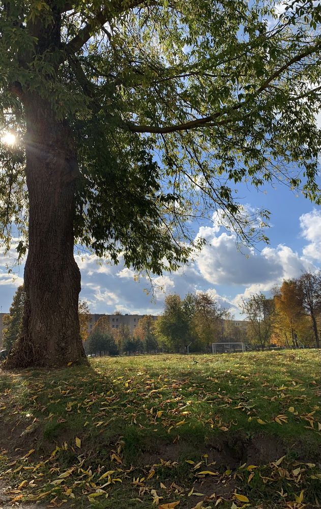 Photograph by Аудрюс Балчетис