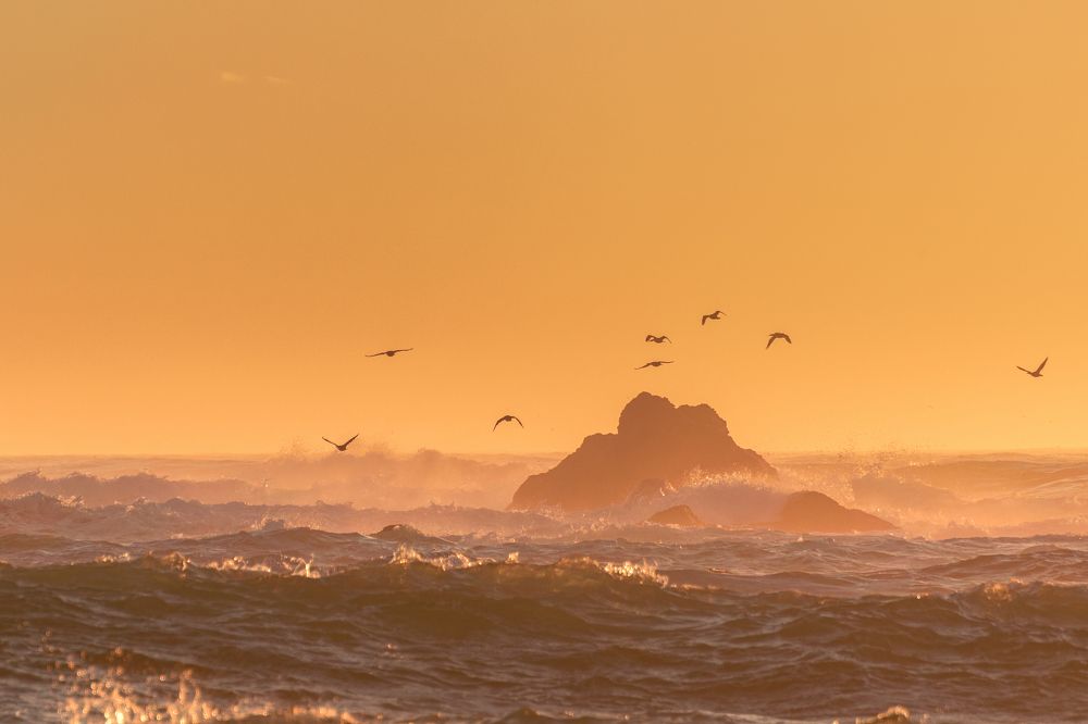 Рассвет на Тихом