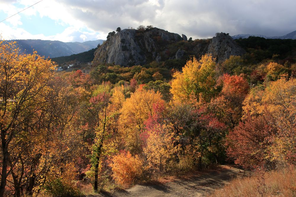 Photograph by Garkusha Vasilii