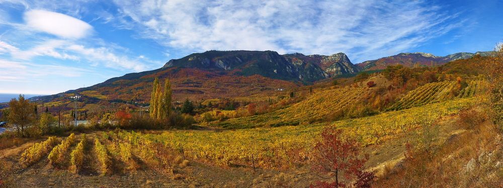 Photograph by Garkusha Vasilii