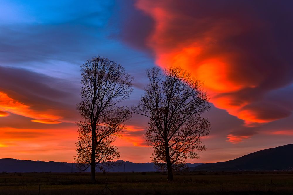 Photograph by Jasmin Džebo