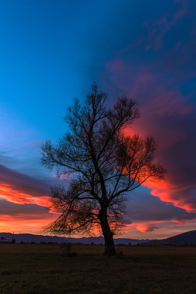 Photograph by Jasmin Džebo