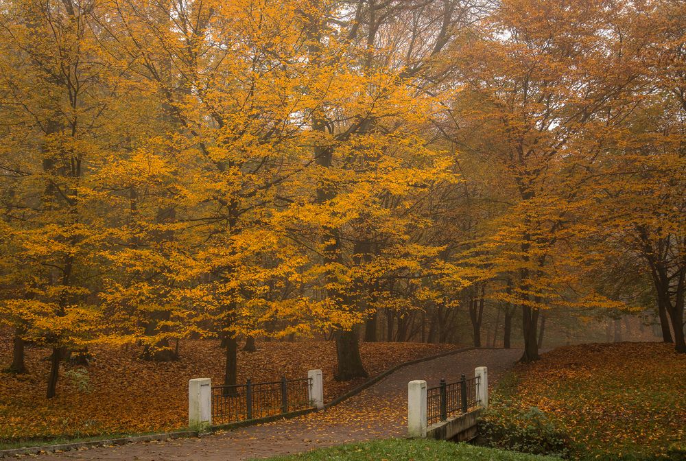 Photograph by Наталья Брюхненко