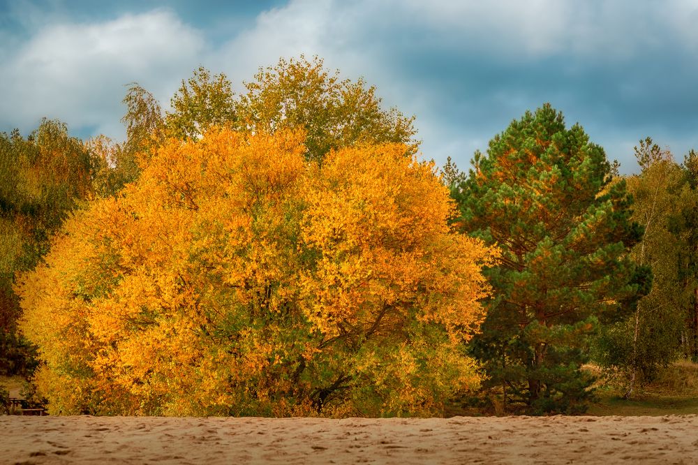 Photograph by Tatyana Baskakova
