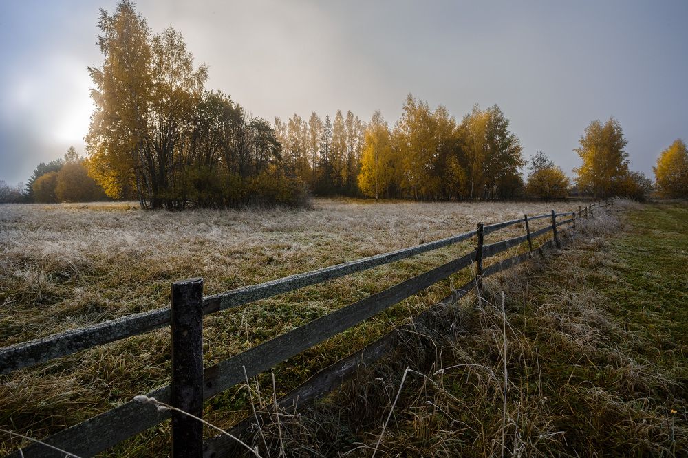 Осенние зарисовки