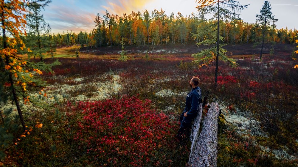 Photograph by Александр Слепцов