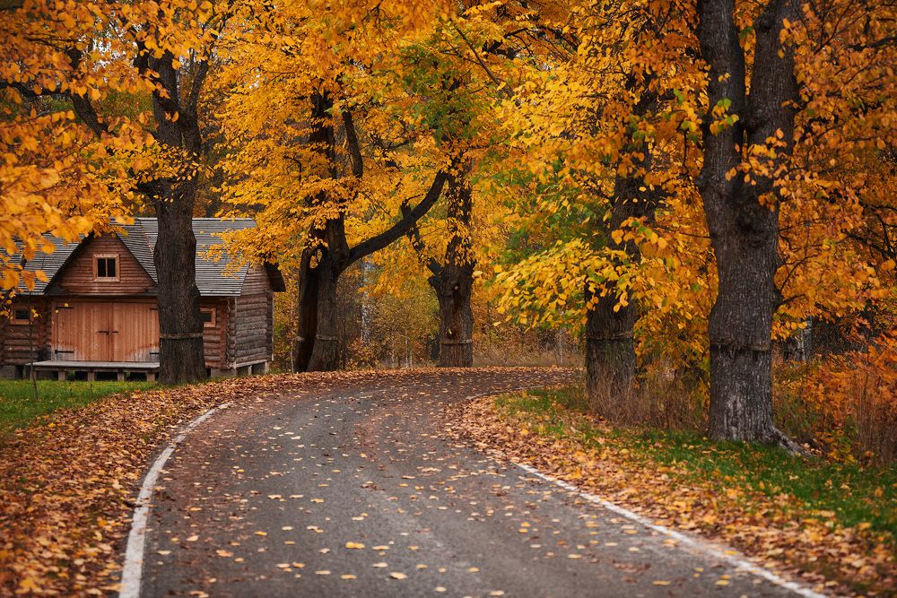 Photograph by Андрей Баскевич