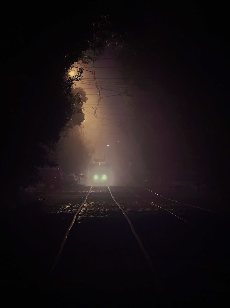 Photograph by Владимир Кульбит