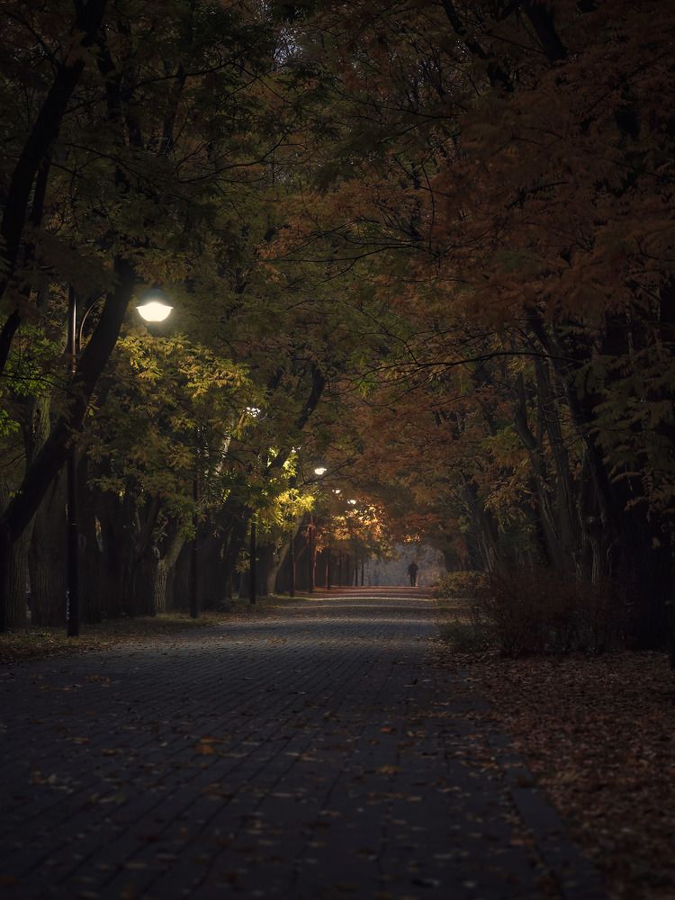 Photograph by Владимир Кульбит