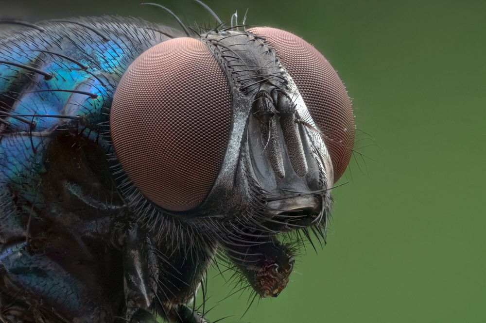 Photograph by KAIYEN LEE