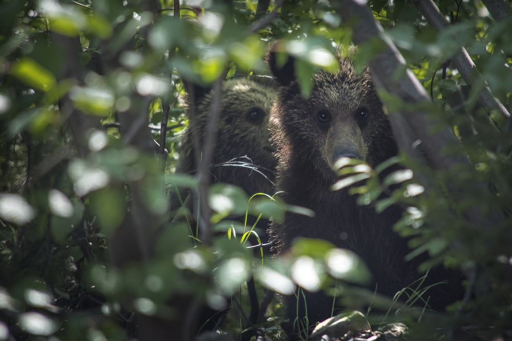 Photograph by Сергей Алексеевич