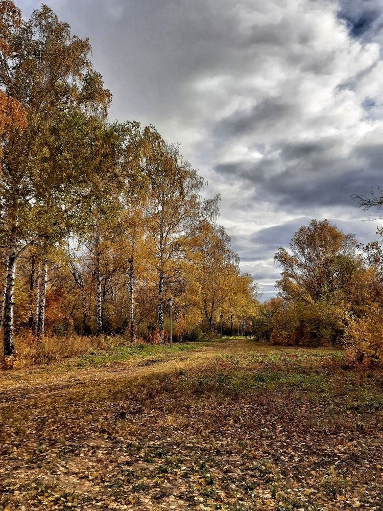 Photograph by Ксения Олина