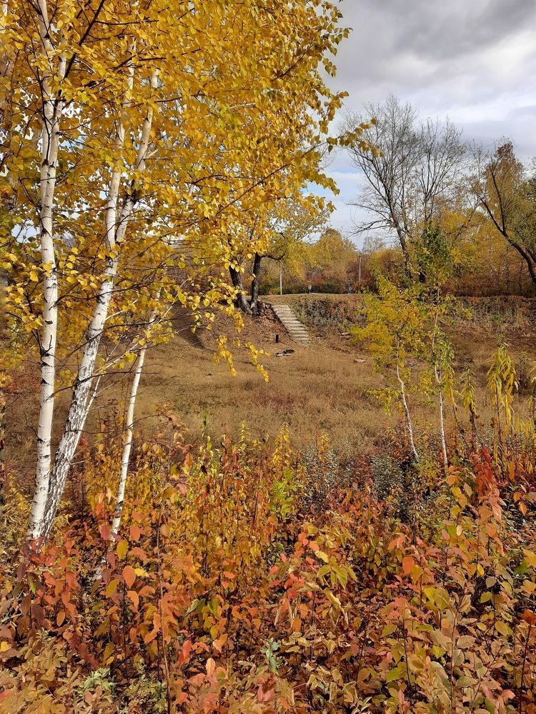 Photograph by Ксения Олина