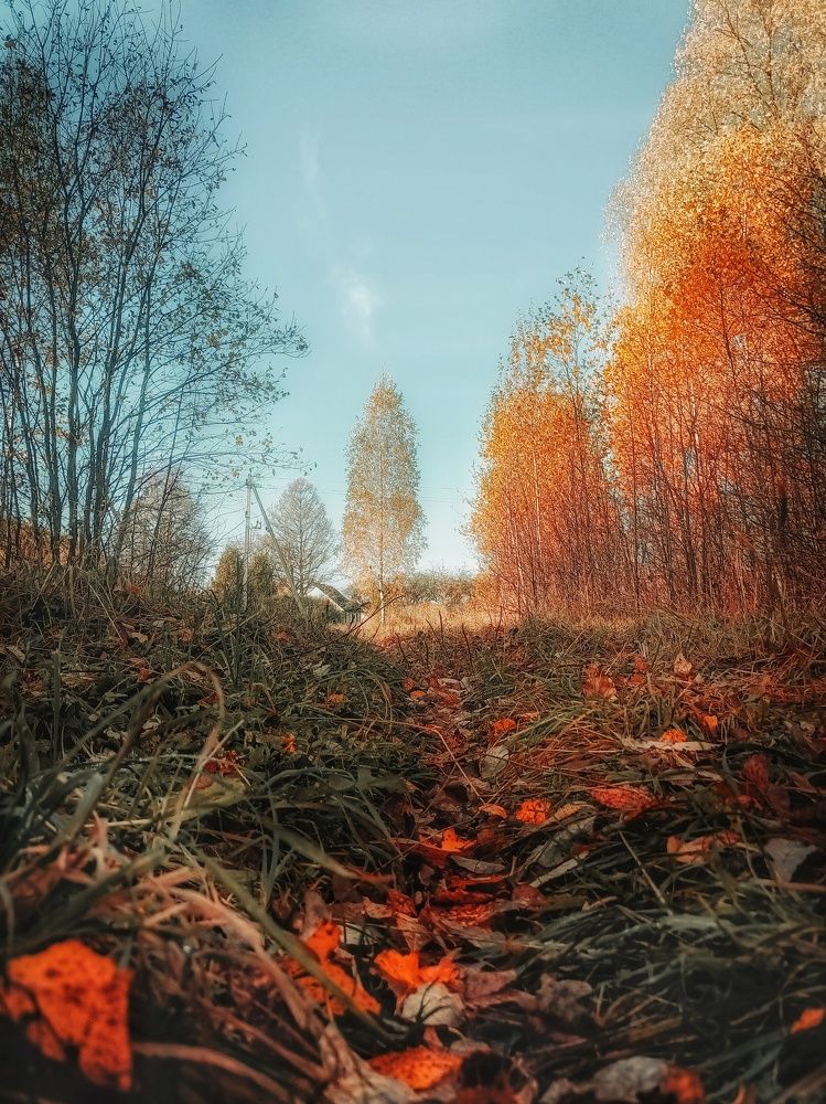 Photograph by Сергей Плюто