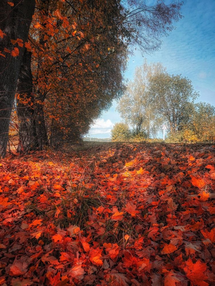 Photograph by Сергей Плюто