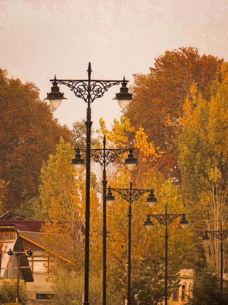 Photograph by Faizan Meer