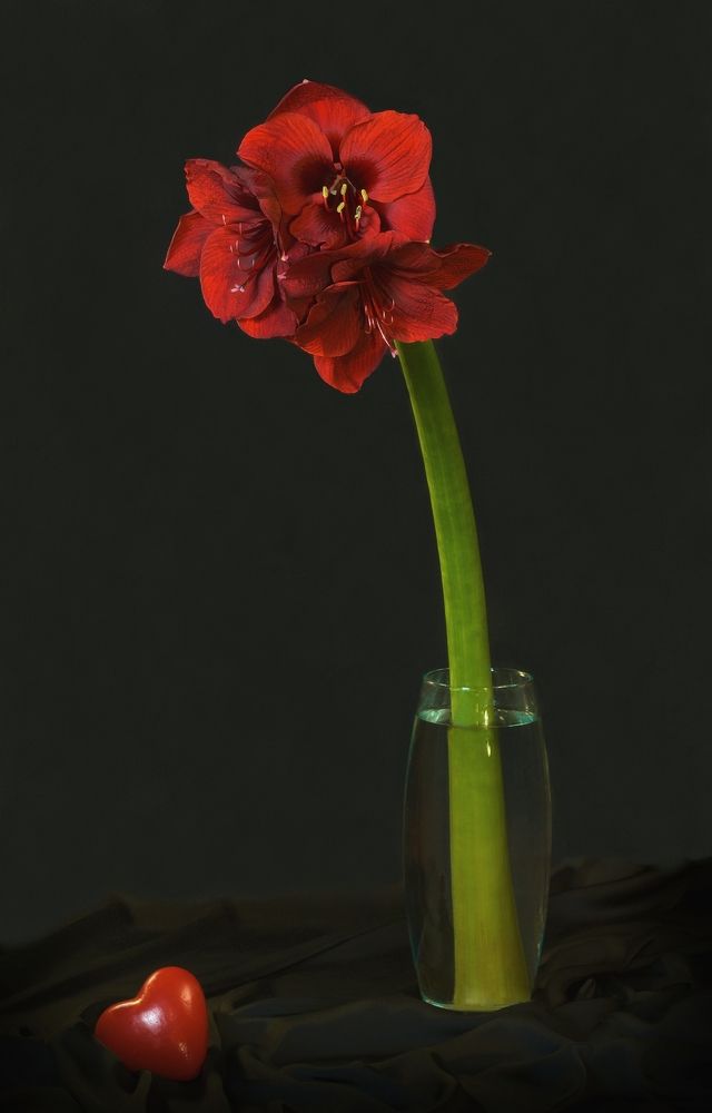 Photograph by Виолетта Рябова