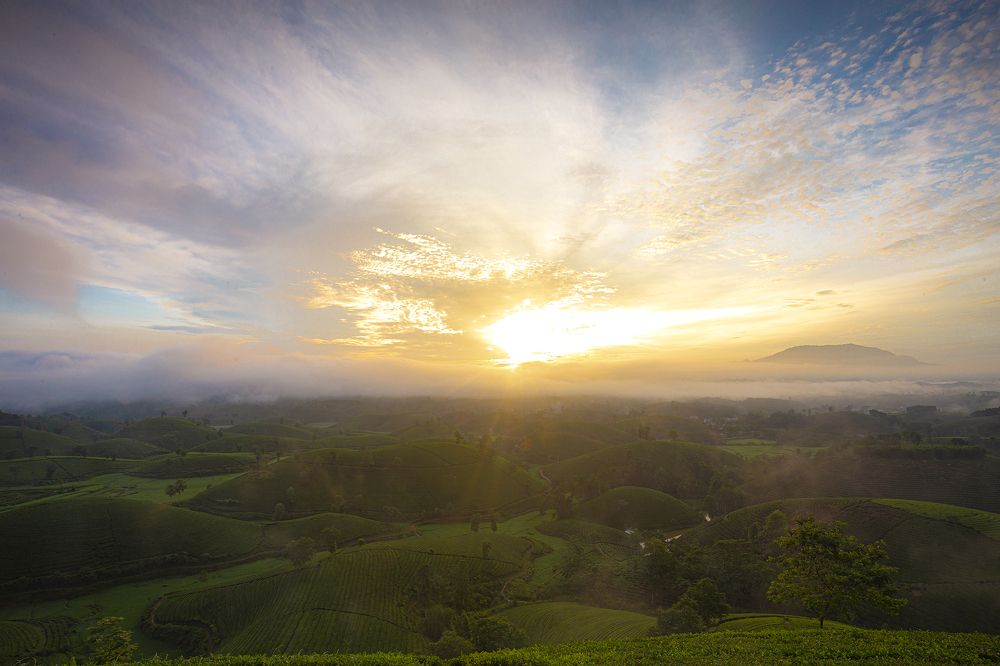 Фотография автора An Nguyen Quoc