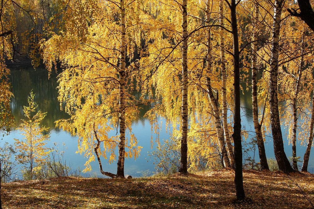 Photograph by Ильсияр Григорьева