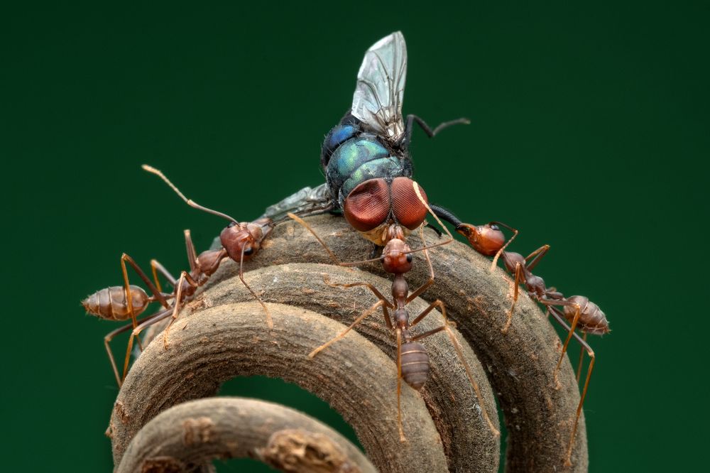 Photograph by KAIYEN LEE