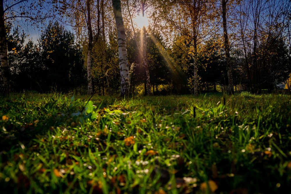 Photograph by Литвинов Николай
