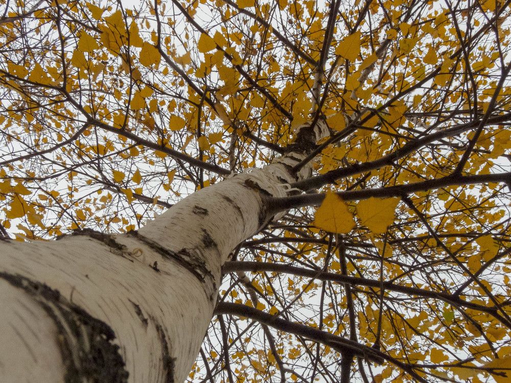 Фотография автора Виталий Дузь