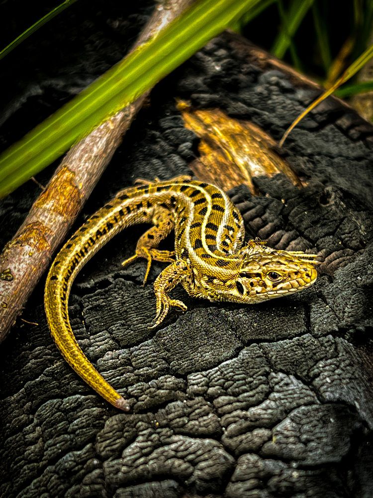 Photograph by Андрей Бобрюк