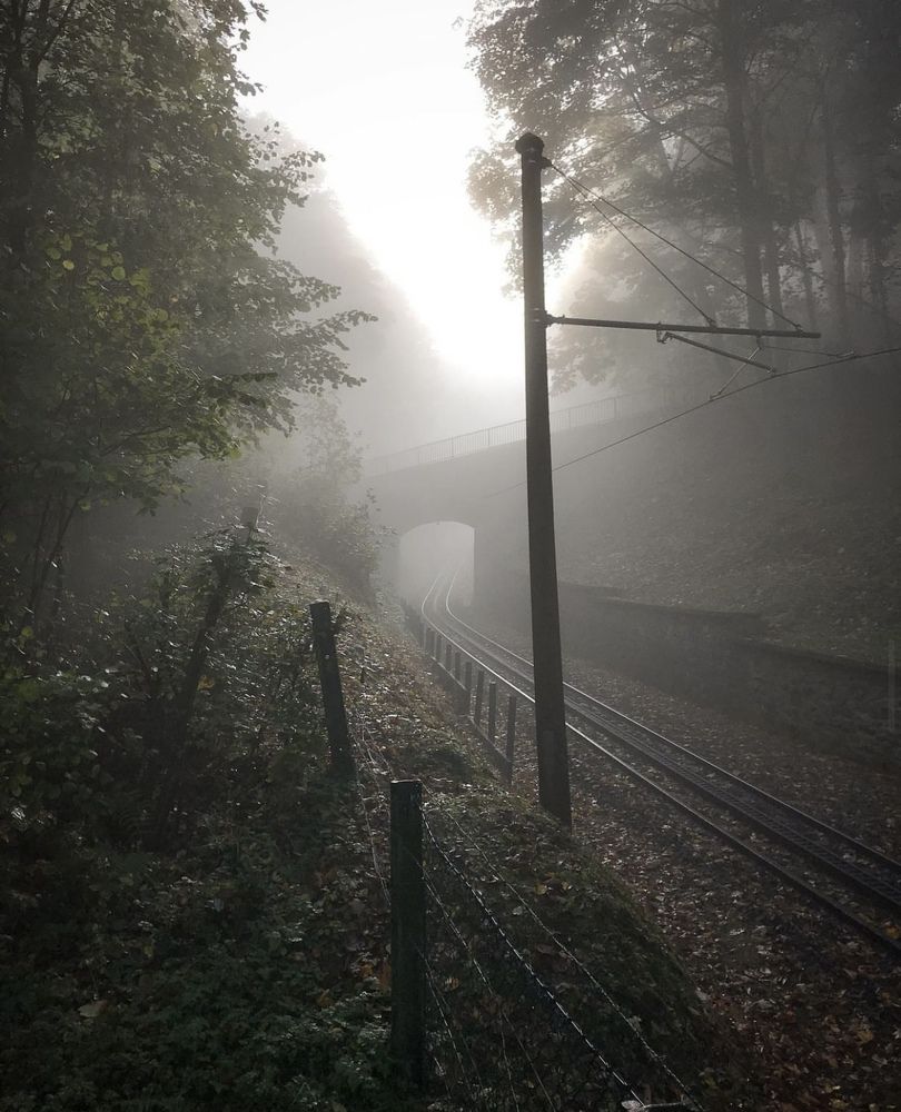 Photograph by Александр Зотов