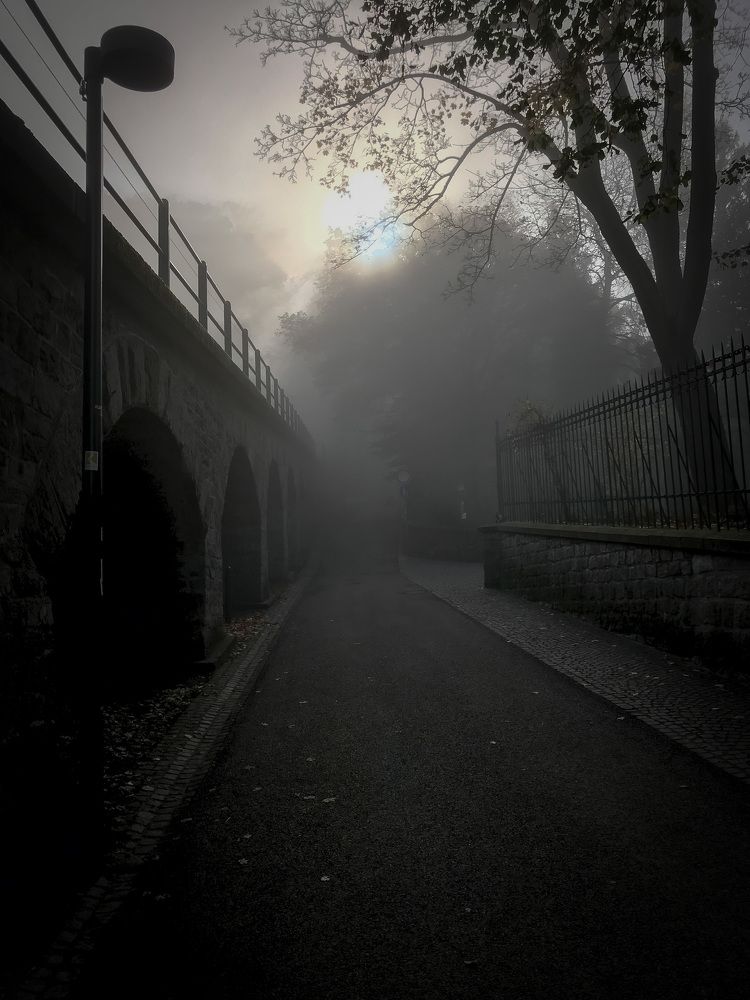 Photograph by Александр Зотов