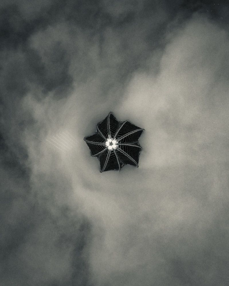 Photograph by Александр Зотов