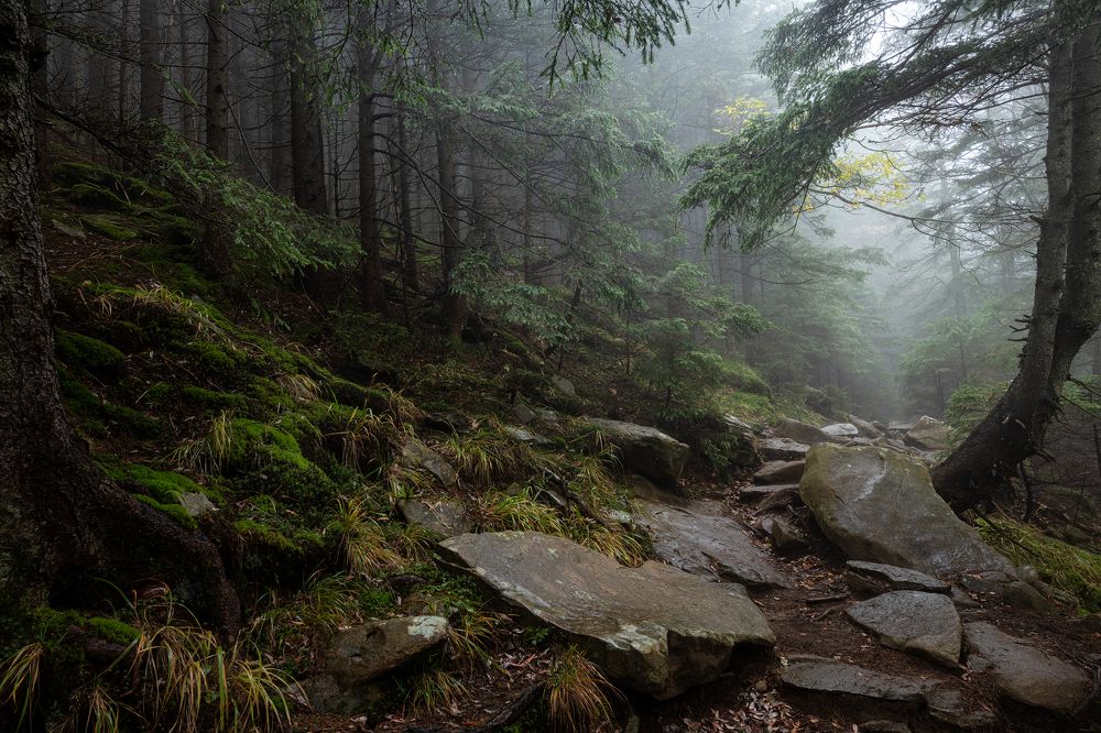 Фотография автора Андрей Жила