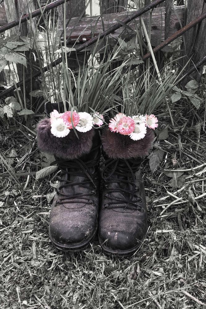 Photograph by Елена