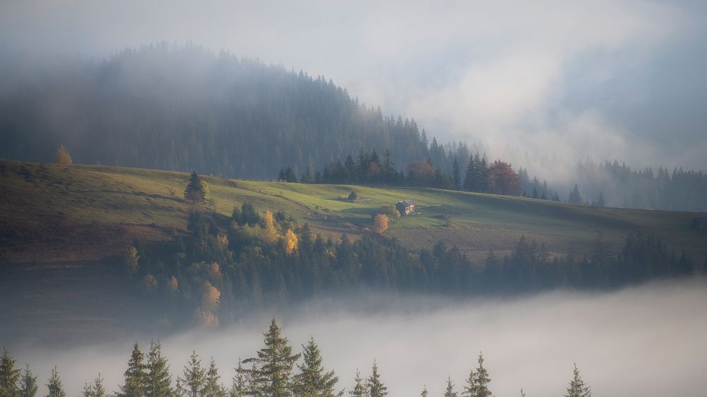 Фотография автора Андрей Жила
