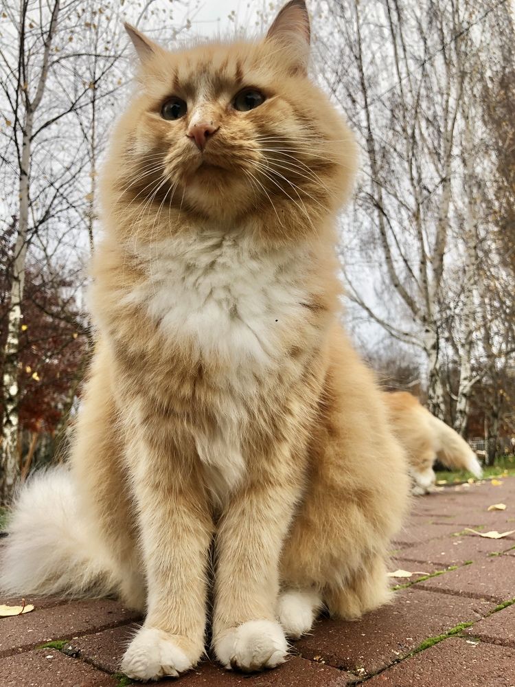 Photograph by Татьяна Воинцева
