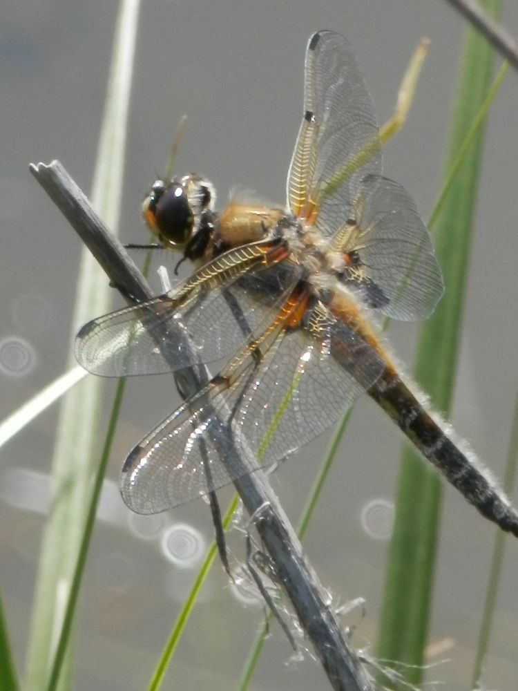 Photograph by Георгий Салюков