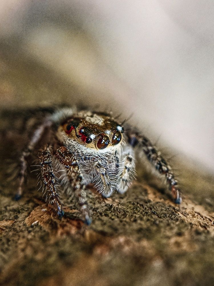 Photograph by Kichu Sachu