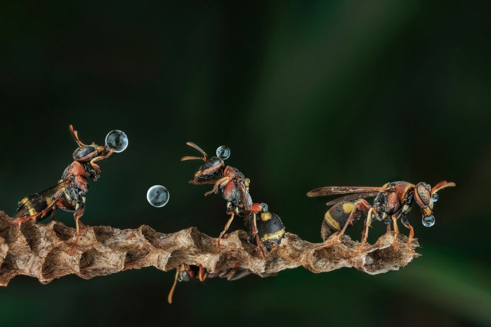 Photograph by KAIYEN LEE