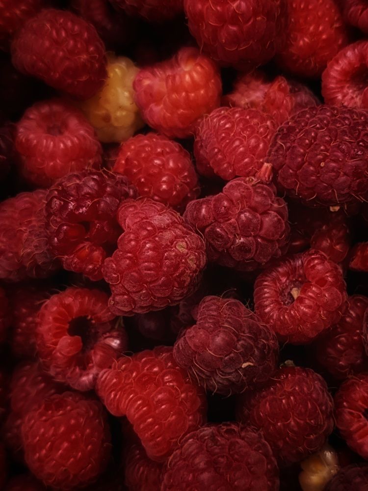 Photograph by Екатерина