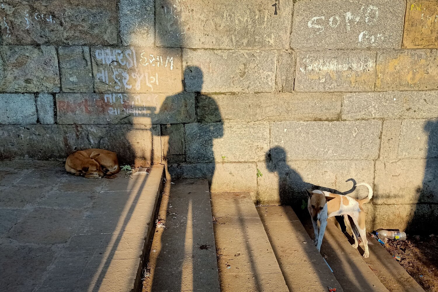Photo #8337808