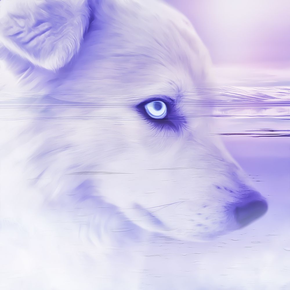 Photograph by Romanova Tatyana