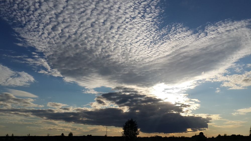 Photo #8337870