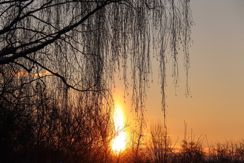 Photograph by Екатерина Воробьева