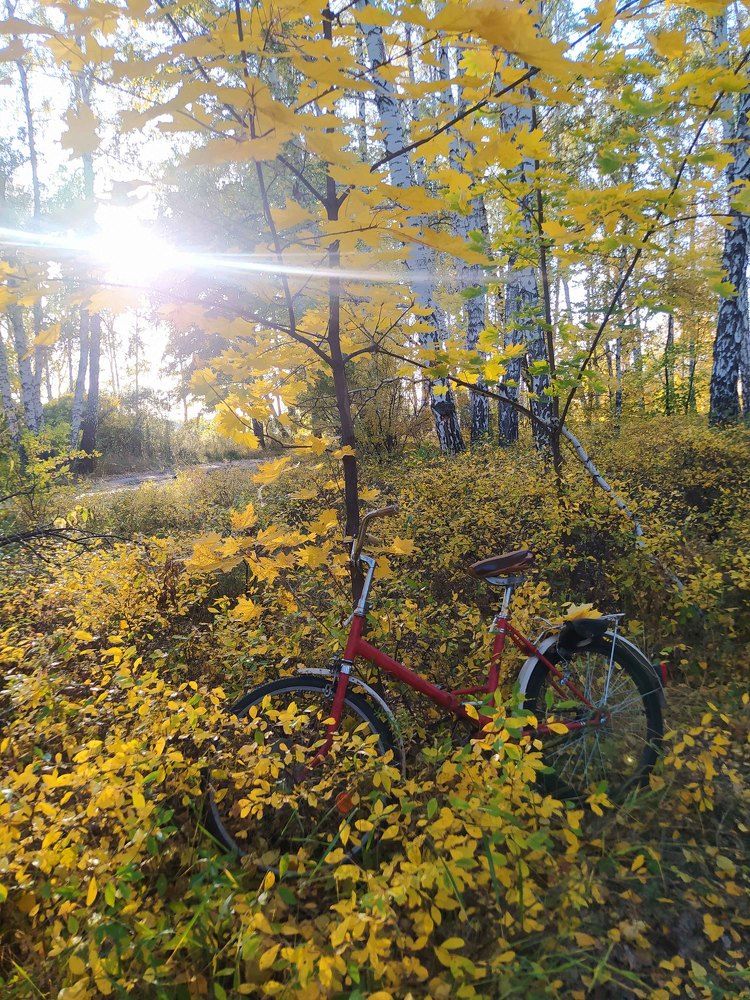 Photograph by Евгения Антропова