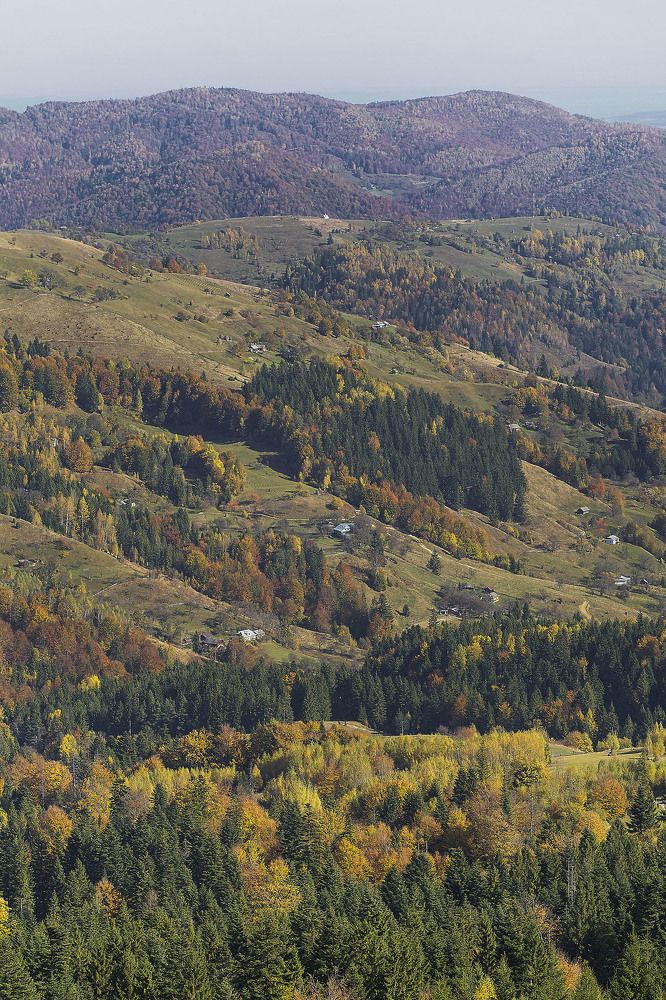 Photograph by Майя Чехова