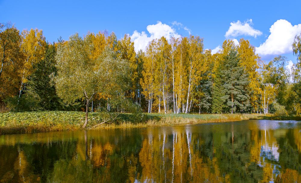 Фотография автора Наталия Одинцова