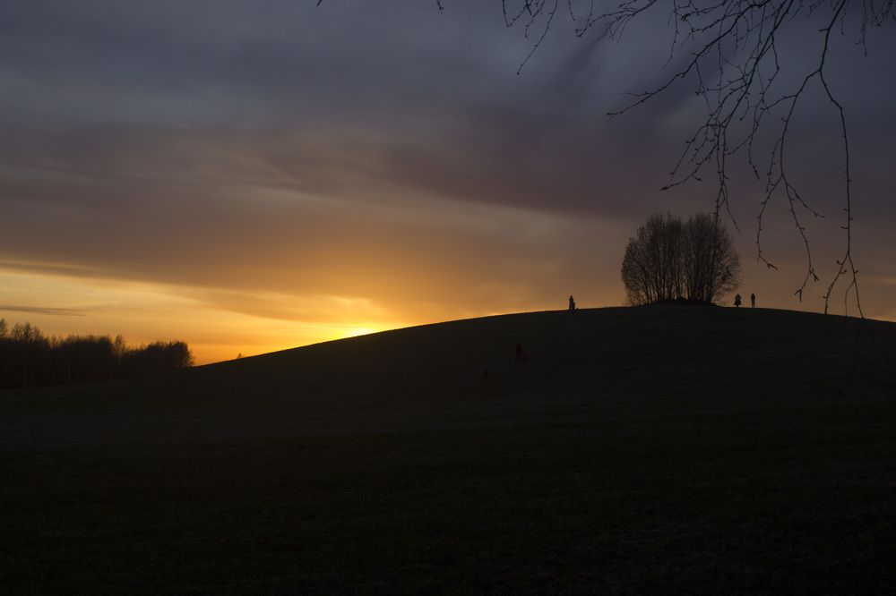 Фотография автора Александр Собокарь