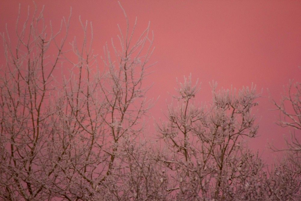 розовое небо